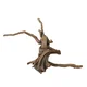 AQUA DELLA DRIFTWOOD 3