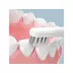 ENCHEN T501 siva električna četkica za zube