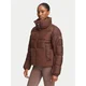 Columbia Zimska jakna Leadbetter Point™ II 2085602 Temno rjava Regular Fit