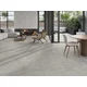 ARENITE GREY 60x120
