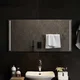vidaXL LED kopalniško ogledalo z ogledalom Transparentno 100 x 50 cm