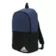 ADIDAS PERFORMANCE Sportski ruksak DAILY II, plava / crna / bijela