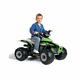 Peg Perego Corral T-Rex 330W 12V