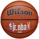 Wilson Žoge košarkaška obutev rjava 7 JR Nba Fam Logo Authentic Outdoor