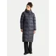 The North Face Puhovka Hydrenalite City NF0A8D3NRHI1 Temno siva Regular Fit