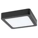 RABALUX Shaun2 71202 LED plafonjera