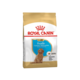 ROYAL CANIN Hrana za pse rase Pudla Junior 0.5kg