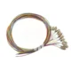 Lanview LVO-PIG-lcupc-12CORE-OM4-2M-PVC