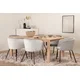 Venture Design Jedilna miza in stol komplet Berit, miza 75x170x95 cm, stoli 55x78x55 cm, bela, siva