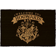 PYRAMID HARRY POTTER (WELCOME TO HOGWARTS) PREDPRAŽNIK 37 X 55CM