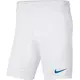 Nike Hlače obutev za trening bela 188 - 192 cm/XL Park Iii
