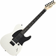 Fender Jim Root Telecaster Ebony Flat White