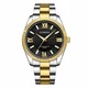 Moška ročna ura Curren Regent Gold/Black