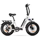 TTGO Zložljivo električno kolo TTGO F6, 250 W z navorom 45 NM, 25 Ah, belo, (21960244)