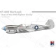 P-40N Warhawk Aces of the 49th Fighter Group