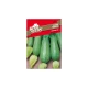 SEME ROYAL SEEDS 155 Bučka Greyzini F1