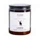 shumee Dišeča sveča Lumiere - pomaranča, pačuli, meta, vrtnica - yush - 180 ml