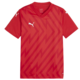 Dres Puma teamGLORY Jersey Jr