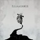 Still Wave - A Broken Heart Makes An Inner Constellation (Limited Edition) (Silver /Black Marble Coloured) (LP)
