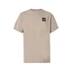 THE NORTH FACE Majica EVOLUTION BOX HALF DOME bež