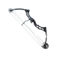 Lok ROYAL compaund Carbon 60-65 Lbs