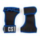 Capital Sports   (CSP1-Palm Pro)
