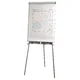Flipchart tabla, magnetna, 70x100 cm, ESSELTE Standard