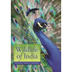 Wildlife of India