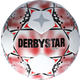 Žoga Derbystar UNITED S-Light 290g v23