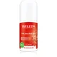 Weleda 24h Deo Roll-on granatno jabolko  - 50 ml