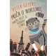 Priča o Nortonu, mačku koji je putovao u Pariz