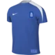 Nike Majica Dri-FIT Greece Strike 24
