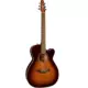 SEAGULL PERFORMER CW CH BURNT UMBER PRESYS II W BAG | ELEKTRO AKUSTIČNA GITARA