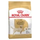 Royal Canin Breed Nutrition Labrador - 3 kg