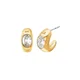 Uhani Michael Kors MKJ8478710