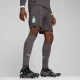PUMA AC Milan 24/25 Shorts Men, Shadow Grey/Fresh Mint