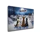 Wallxpert WY272 Dekorativna slika, 50 x 70 cm