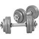 Gorilla Sports Set od 2 podesive bučice od livenog gvožđa (Ukupno 30 kg / Srebrni) ( 100064-00002-0032 )