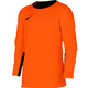 Dres z dolgimi rokavi Nike YOUTH TEAM GOALKEEPER JERSEY LONG SLEEVE