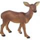 Safari Srna