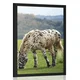 Plakat konj na travniku - 60x90 silver