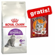 10 kg Royal Canin + Catessy palčke s puranom 10 kosov gratis! - Maine Coon Adult