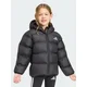 adidas Zimska jakna Synthetic Down KH0198 Črna Regular Fit