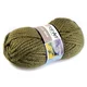 Pletena preja Alpine maxi 250 g - (670) zelena