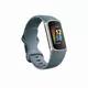 Fitbit Charge 5, Steel Blue/Platinum