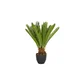 MID.YOU Umetna Rastlina Cycas