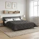 vidaXL vidaXL Poletna odeja Antracit 240 x 260 cm Mikrofibra in Teddy flis, (5000284438)