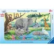 Ravensburger Afriške živali Puzzle 15 kosov