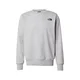 THE NORTH FACE Majica Simple Dome pegasto siva / črna
