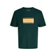Jack & Jones Junior Majica JJBUSTER temno siva / temno zelena / svetlo oranžna